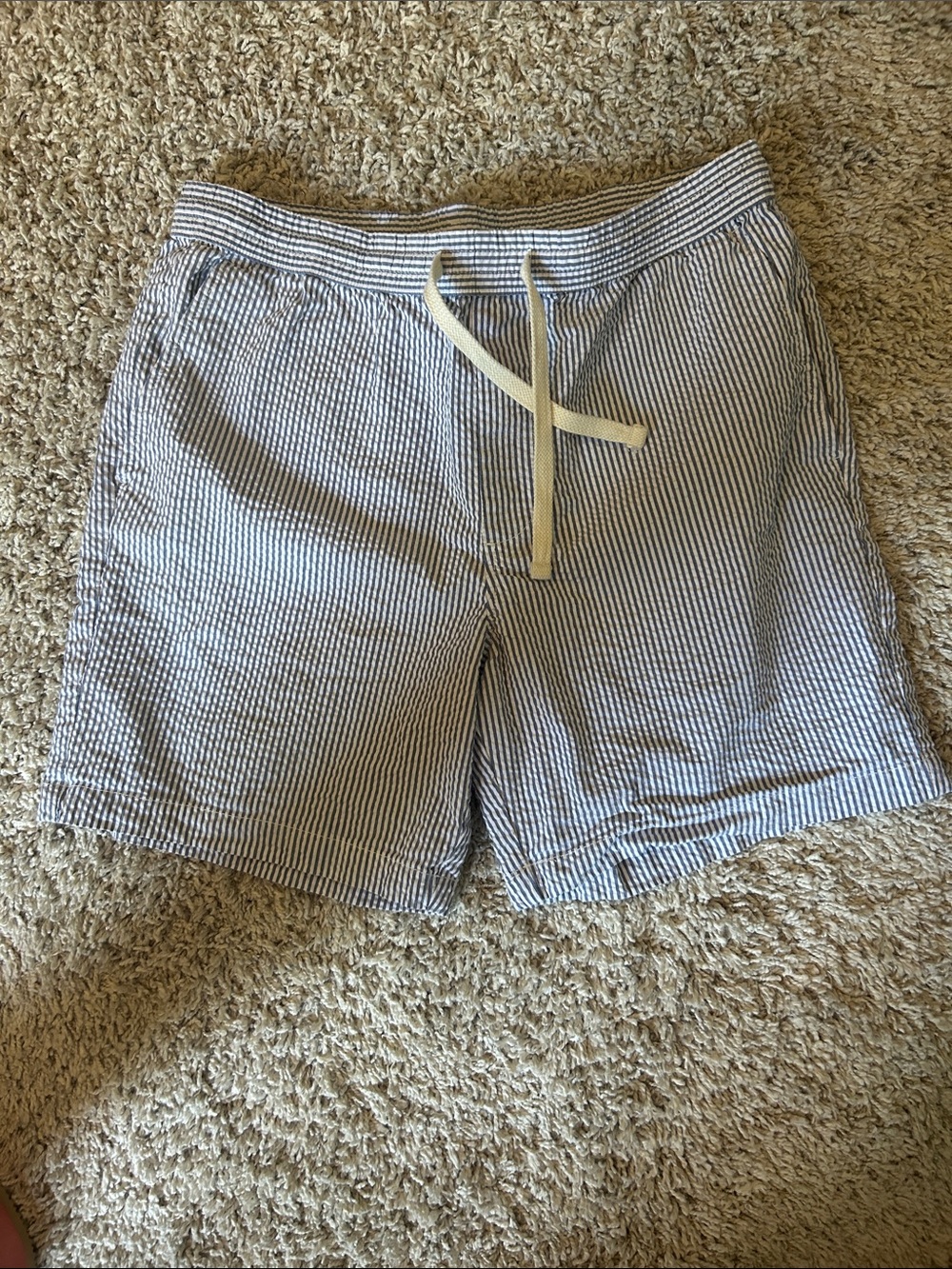 Goodfellow & Co Blue and White Striped Seersucker Shorts